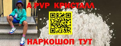 шишки Кимры