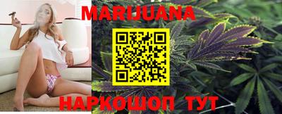 шишки Кимры