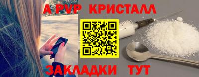 шишки Кимры