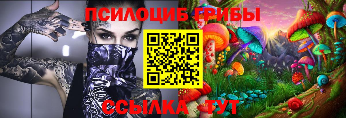Галлюциногенные грибы Psilocybe  Вход с VPN  Лангепас 